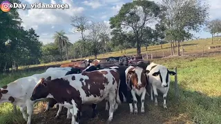 APARTANDO NOSSO PRÉ-PARTO!