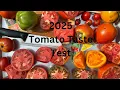 Lagu 2025 Tomato Taste Test / Tomatoes from a Garden Center