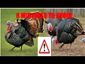 REVEALED 8 Terrible Mistakes Beginner Turkey Farmers Do And How To Avoid Them