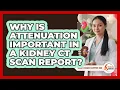 Why Is Attenuation Important In A Kidney CT Scan Report - Kidney Cancer Support Hub