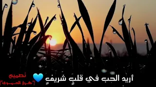 اريد الحب في قلب شريف دندنها