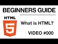 HTML Programming Introduction BEGINNERS GUIDE Self Taught Developer
