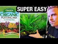 Setup a Fish Aquarium Using Dirt Potting Soil