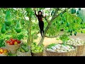 Download Lagu Harvest, Sell, Cook: Super Long Avocado, Tomato, Radish, Guava – Plant Vegetables, Raise Chickens