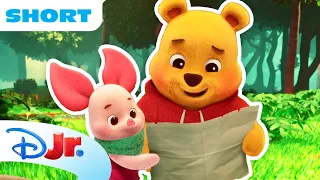 Piglet and Pooh Bear Journey to a Waterfall! 🌊💛 | Playdate with Winnie the Pooh | ⁨Disney Jr.