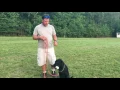 IMG 2664