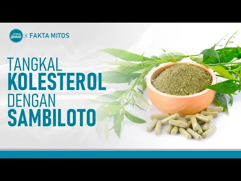 Intip Kegunaan Daun Sambiloto Untuk Kesehatan!