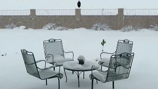 The blizzard of 2019 Prescott Valley AZ movie