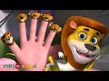 Lion Finger Family Song | Nursery Rhymes \u0026 Kids Songs | Zool Babies Songs