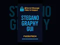Hide Messages in Images Python GUI Dark Mode By FuzzuTech