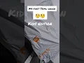 Download Lagu TRYING TEMU FOR THE FIRST TIME!  😯  *KIDS EDITION* #temu