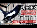 Download Lagu 🔴KACER BAKAL GACOR SEKALI DENGAR ‼️Stel Suara Kacer Gacor Masteran ini || AGAR CEPAT GACOR