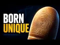 What Your Fingerprints Really Reveal About You