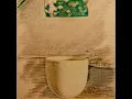 いつもの喫茶店