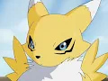 El Genero de Renamon