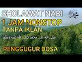 Download Lagu Sholawat Nabi 1 jam Non Stop Tanpa Iklan | Sholawat Merdu Tanpa Music