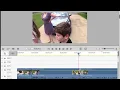 Basic Training for Adobe Premiere Elements 2022 Part 4 of 8