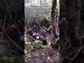 Download Lagu pendakian mistis horor👻👻#gunung indonesia#short#