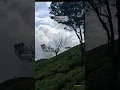 Download Lagu #qafirana #monsoon2025 #naturelovers #nature #august #travel #friends #viralvideo #reel #travelreels