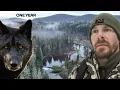 Download Lagu |YEAR ONE| Building a Log Cabin + Homestead in the Wild
