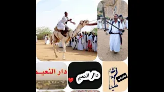الشاعر الكبير محمد عبد النبي دار النعيم 