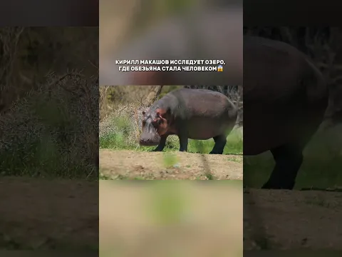 Озеро, где обезьяна стала человеком😱 #орелирешка