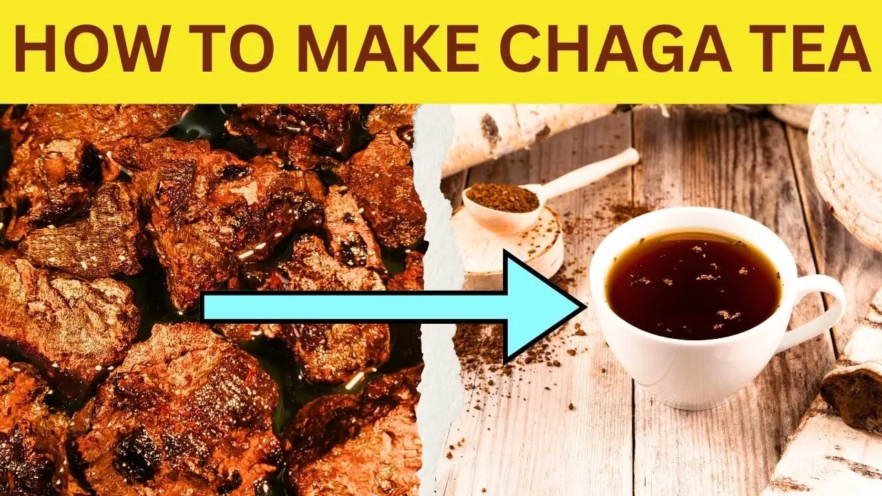 How to make Chaga tea at home