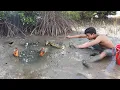 Wow! AMAZING CATCHING MANY HUGE MUD CRABS IN MUDDY AFTER WATER LOW TIDE