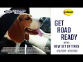 Midas Chicago Exclusive Promotion