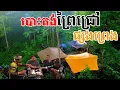 Download Lagu Camping adventure in the deep forest in search of food