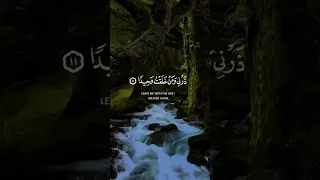 ذرني ومن خلقت وحيدا ايات من القران الكريم Quran قرآن قران كريم 