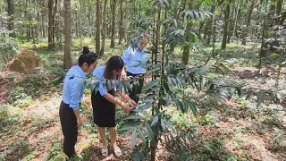 Góc nhìn trưa nay: 'Bảo tàng sống’ 40ha giữa lòng TP.HCM, lưu giữ hàng chục loài cây trong Sách đỏ