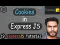 Cookies in Express JS Set Cookies Get Cookies and Clear Cookies