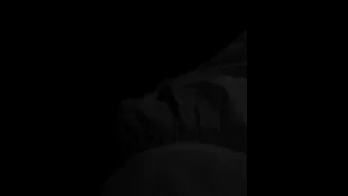 تسجيل مسرب لصندوق الأسود لطائرة المصرية  تسجيل مسرب لصندوق الأسود لطائرة المصرية
