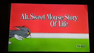 Ah Sweet Mouse Story Of Life 1965 Opening On Metv 