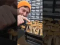 Download Lagu Growing Mushrooms in a 'Boomr Bin' | Monotub Cultivation
