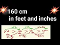 160 cm in feet and inches 160 cm in feet inches 160 cm to feet and inches