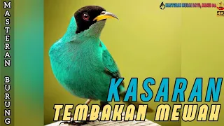 Download MASTERAN MURAI BATU, ISIAN TEMBAKAN KASAR JELAS MP3