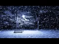 Naruto OST-Haku s theme