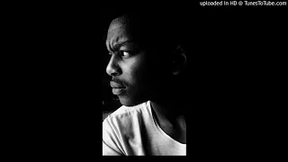 benny maverick memeza ft dladla mshunqisi mr expensives afro deep remix 
