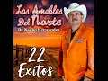Las Nieves de Enero