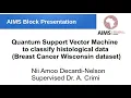 Quantum Support Vector Machine to classify histological data Breast Cancer Wisconsin dataset