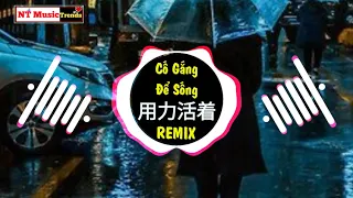 Download 张茜 - 用力活着 (DJ沈念版) Cố Gắng Để Sống Remix - Trương Tây || China Mix Hot MP3