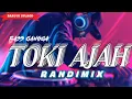 Download Lagu DJ VIRAL TOKI AJAH (REMIX) RANDI MIX