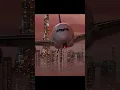 Download Lagu Habibi come to Dubai💫#dubai #burjkhalifa #aviation #airport #pilot #dubaiairport #dubai