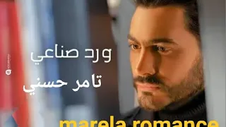 ورد صناعي   تامر حسني دندنها