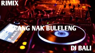 Download DJ  CANG NAK BULELENG MAHESA DJ| VIDEO MUSIK MP3