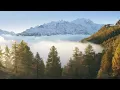 Roberto Cacciapaglia - Endless Time (Autumn Larches)