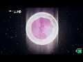 Killer Is Dead [X] Jessie Ware (Running) [VIDEO CLIP MUSIC © GAME ONE] (2013)