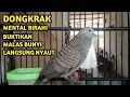 Lagu Perkutut Lokal Gacor Suara Super Kristal - Pancingan Malas Bunyi  (99%AMPUH BANGET)